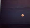 Moon Rise 2